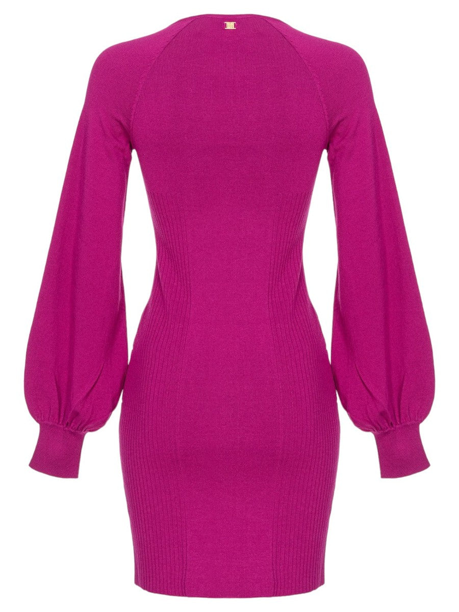 Abito aderente Branzino-Pinko-Abiti-Vittorio Citro Boutique