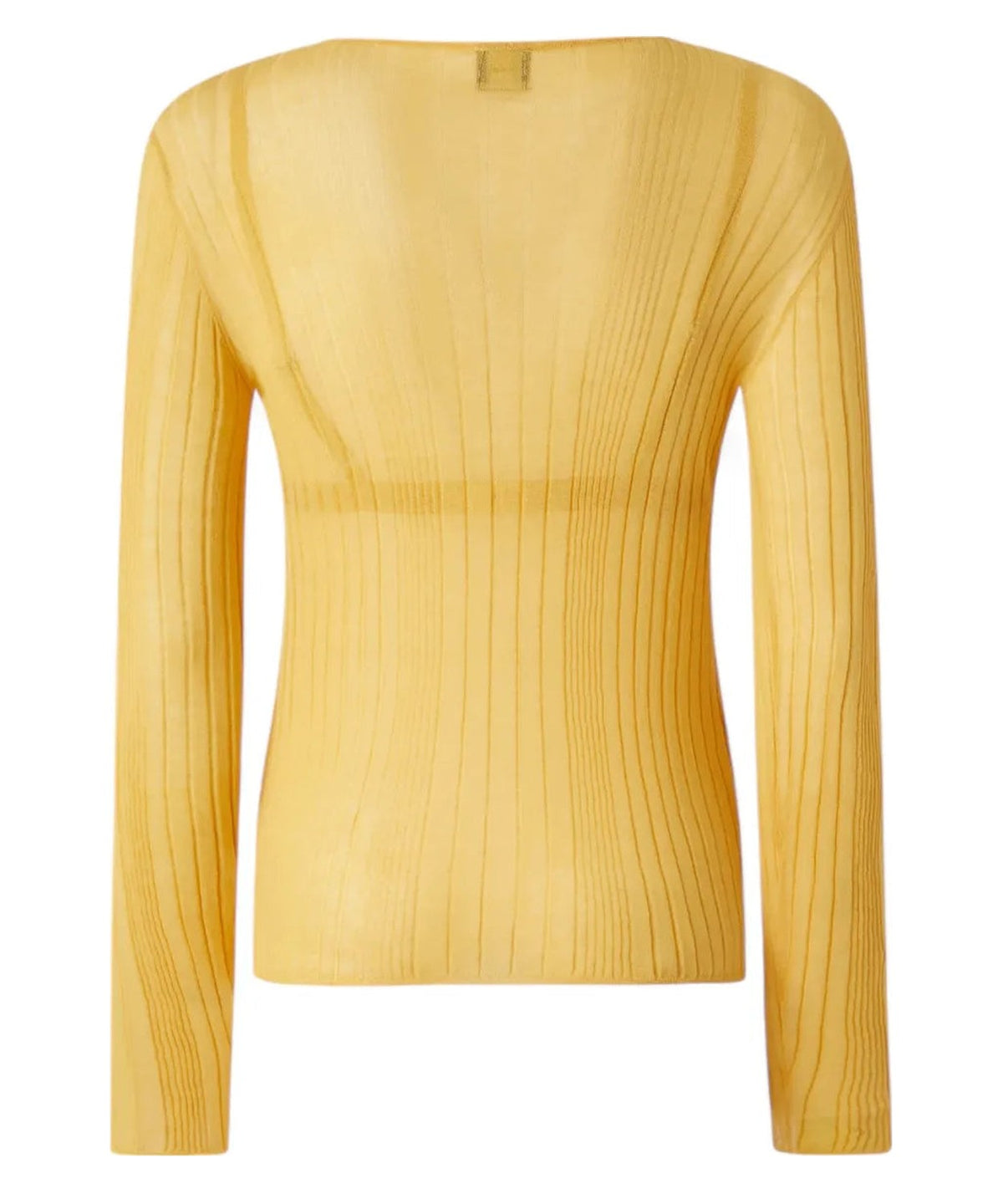 Top Semi Trasparente a Coste-Maglieria-Pinko-Vittorio Citro Boutique
