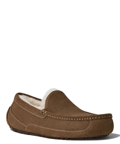 Claquettes Homme UGG Ascot en cuir avec doublure UGGplush™