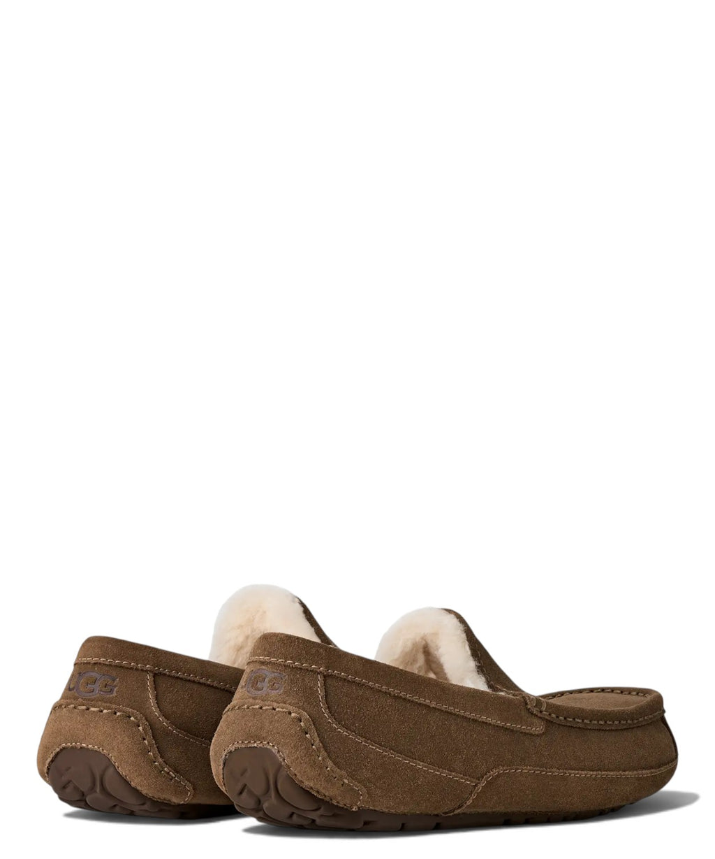 Claquettes Homme UGG Ascot en cuir avec doublure UGGplush™