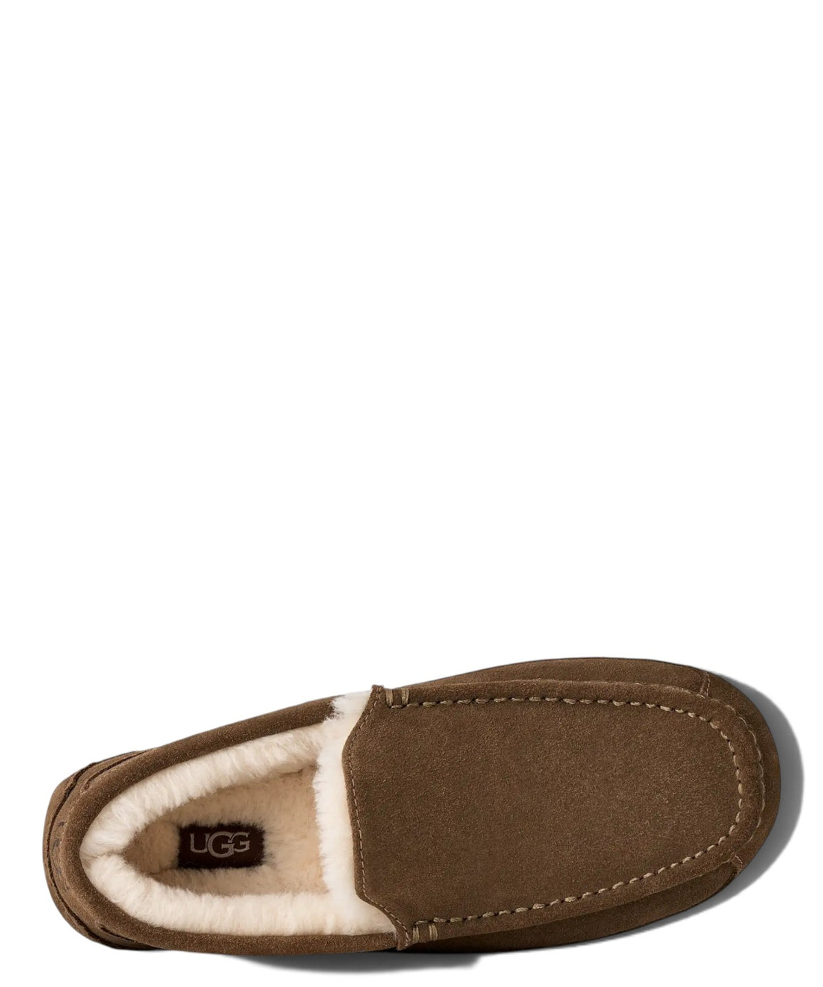 Claquettes Homme UGG Ascot en cuir avec doublure UGGplush™