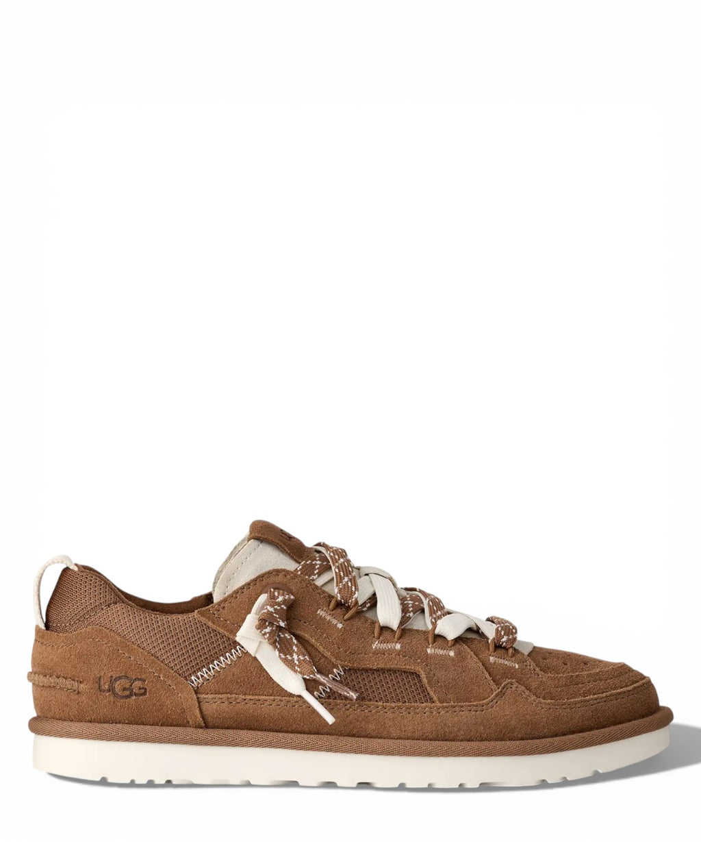 Baskets UGG Minimel Homme