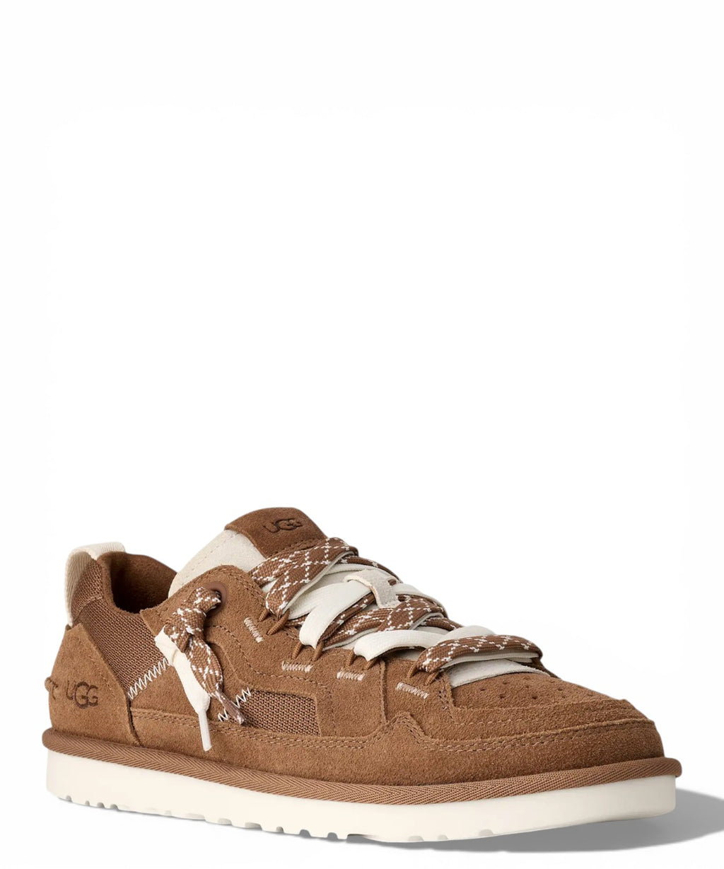 Baskets UGG Minimel Homme