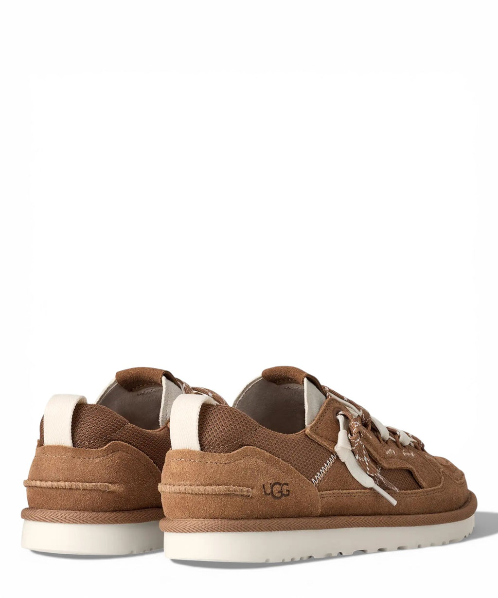 Baskets UGG Minimel Homme
