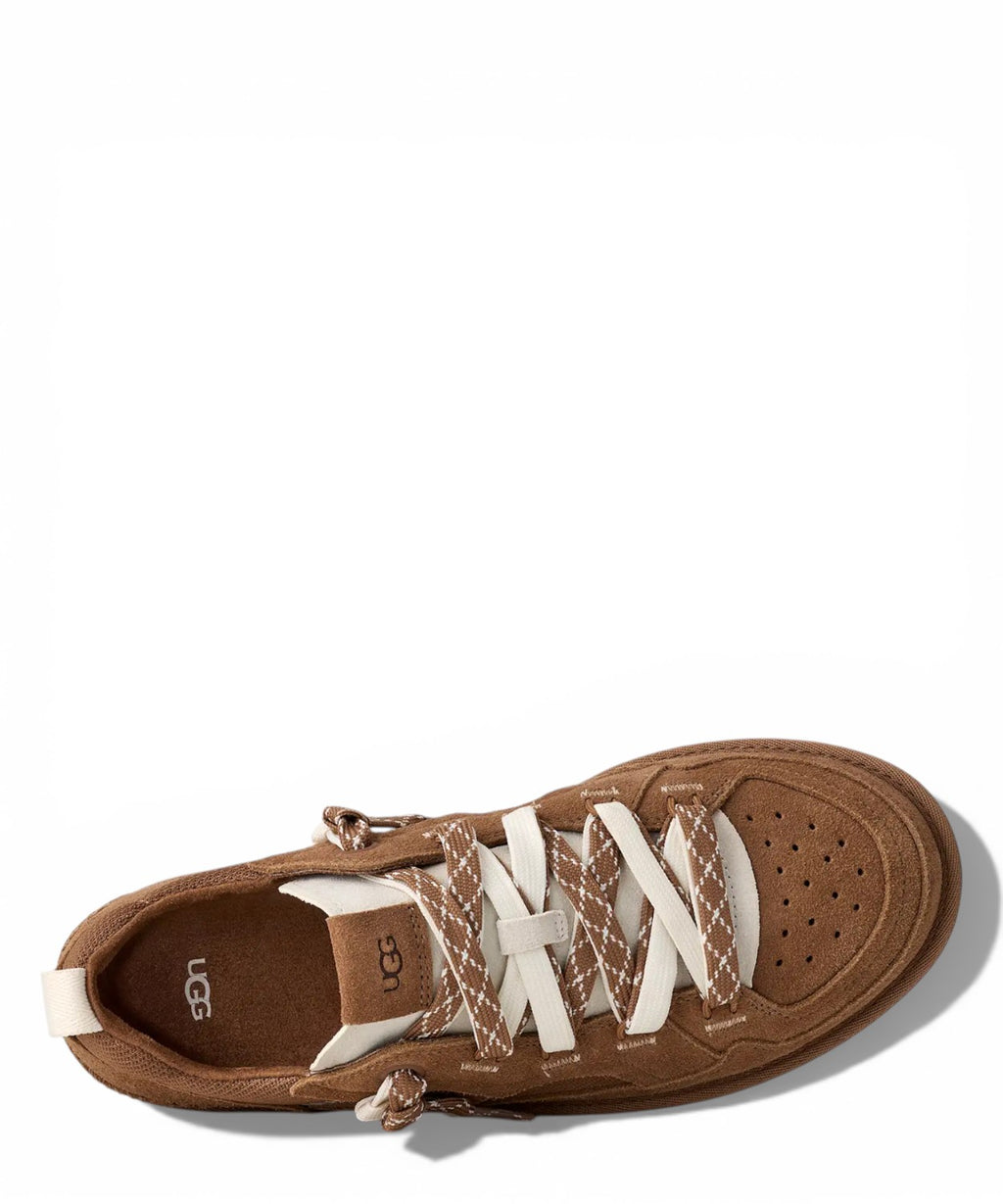 Baskets UGG Minimel Homme