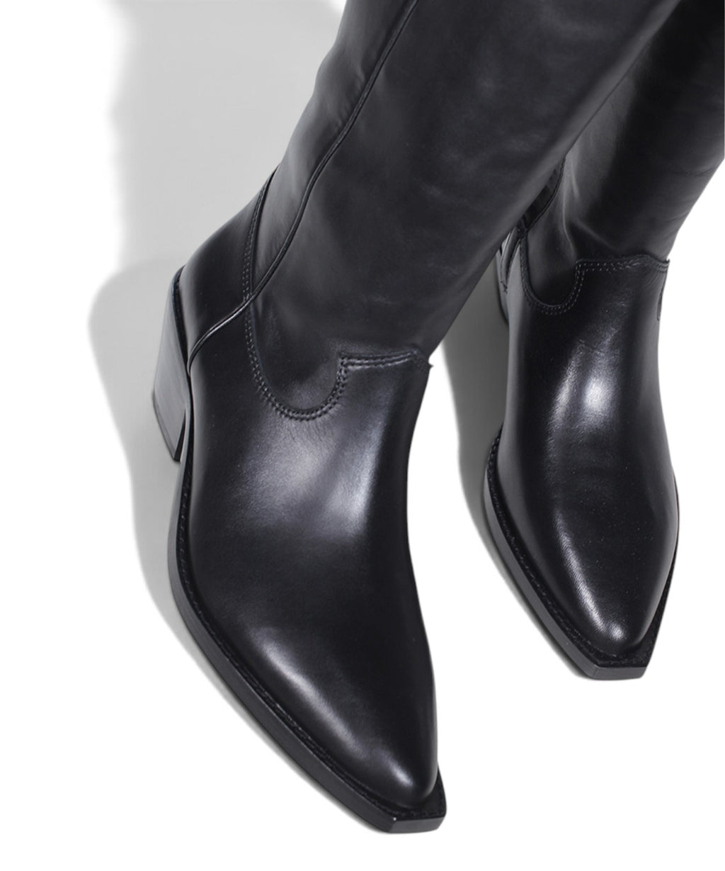 Stivale ASH Dolly01 in Pelle con Tacco Largo