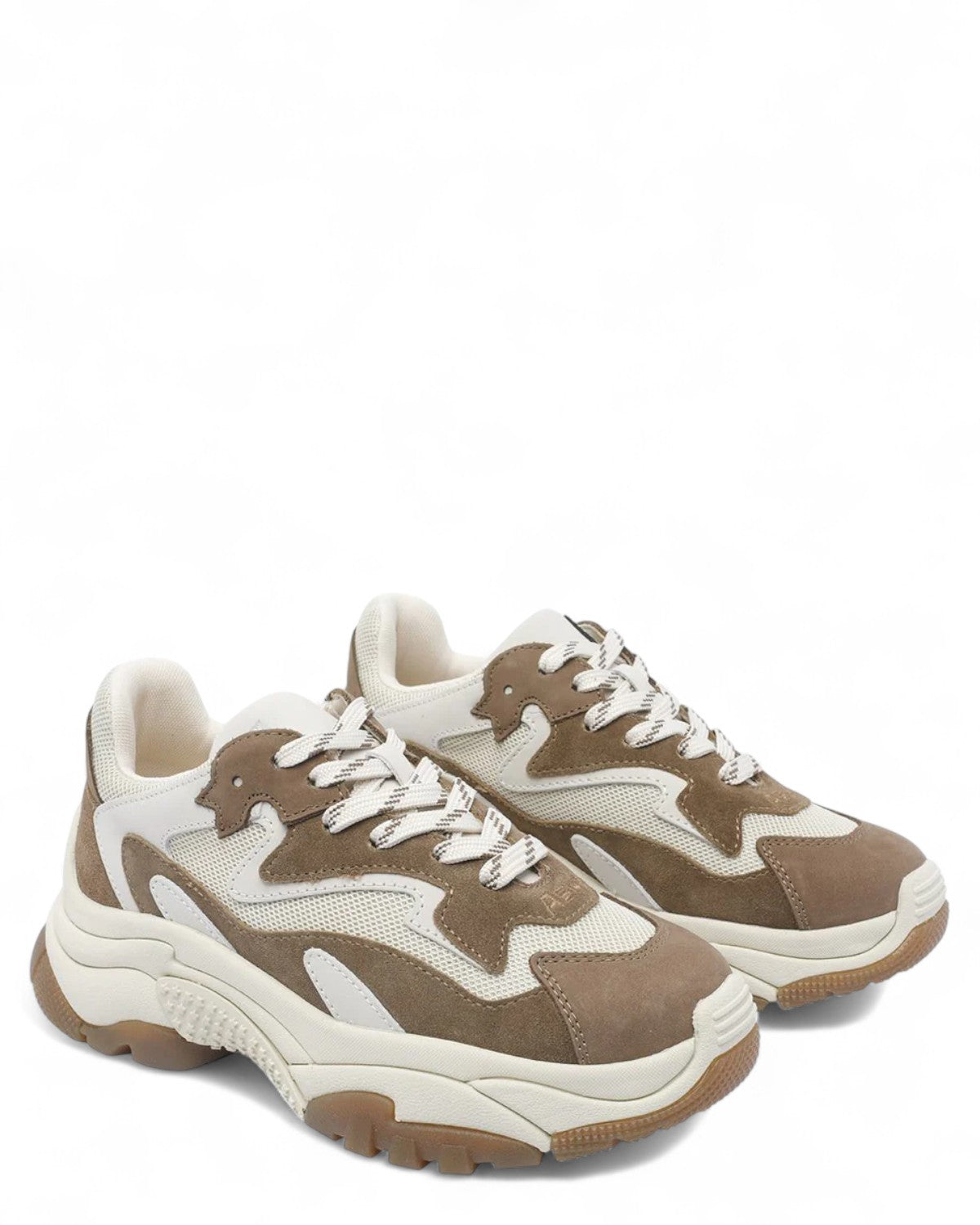 Addict Sneakers in suede Marrone-ASH-Sneakers-Vittorio Citro Boutique