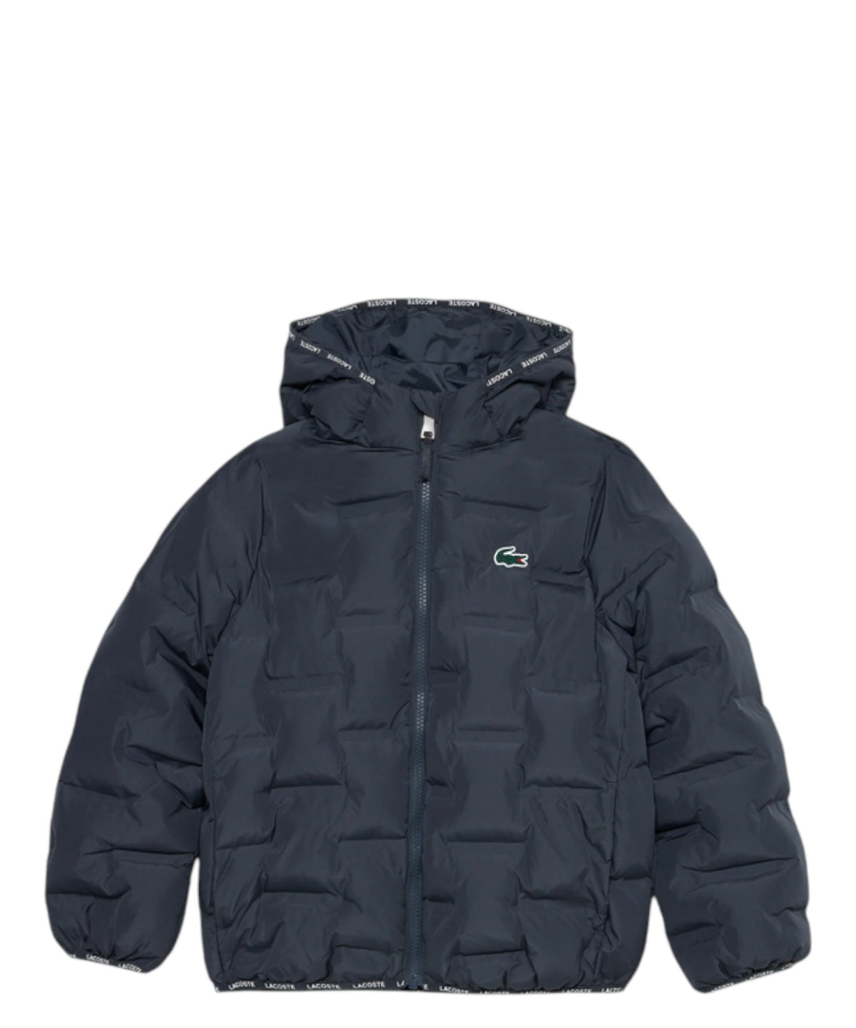 Piumino Bambino Lacoste con Cappuccio e Logo