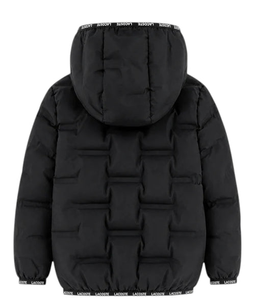 Piumino Bambino Lacoste con Cappuccio e Logo