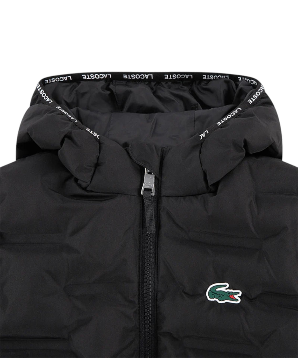 Piumino Bambino Lacoste con Cappuccio e Logo