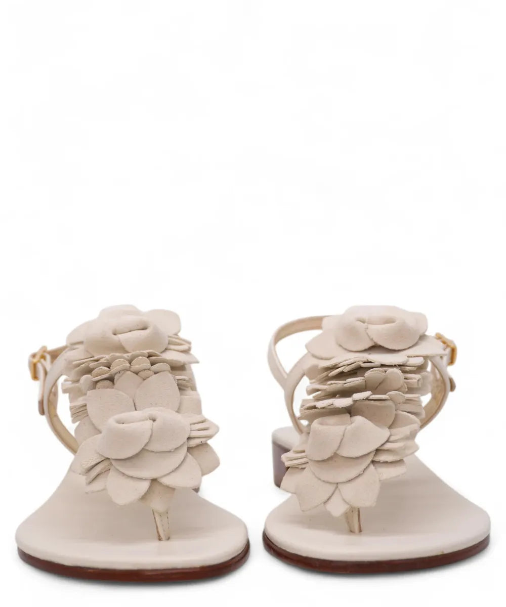 Sandalo Infradito Caprese in Suede-Capri Vittorio Citro-Sandali-Vittorio Citro Boutique