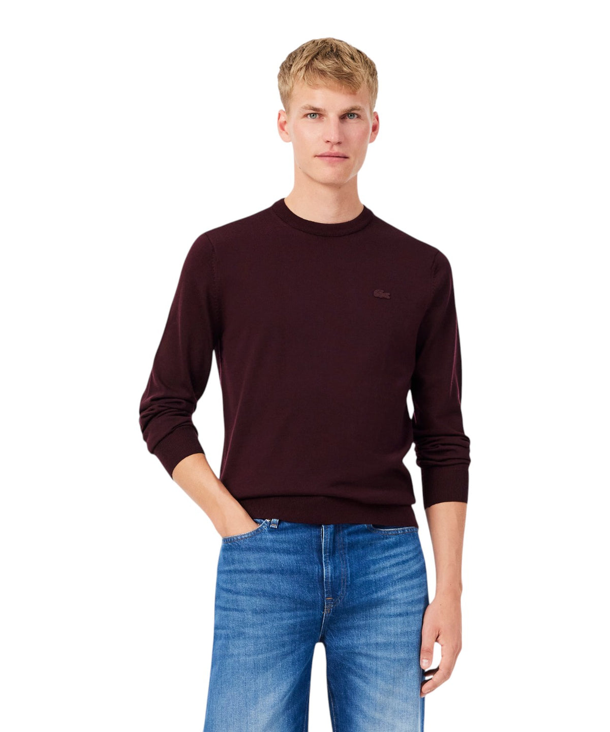 Pull Lacoste à col rond en laine mérinos pour homme