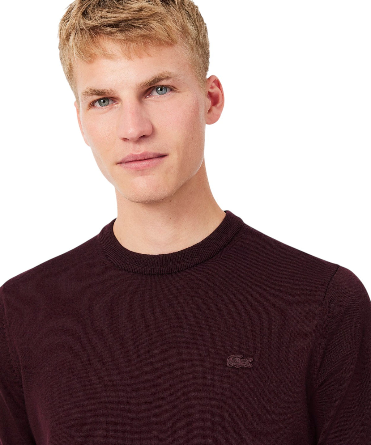 Pull Lacoste à col rond en laine mérinos pour homme