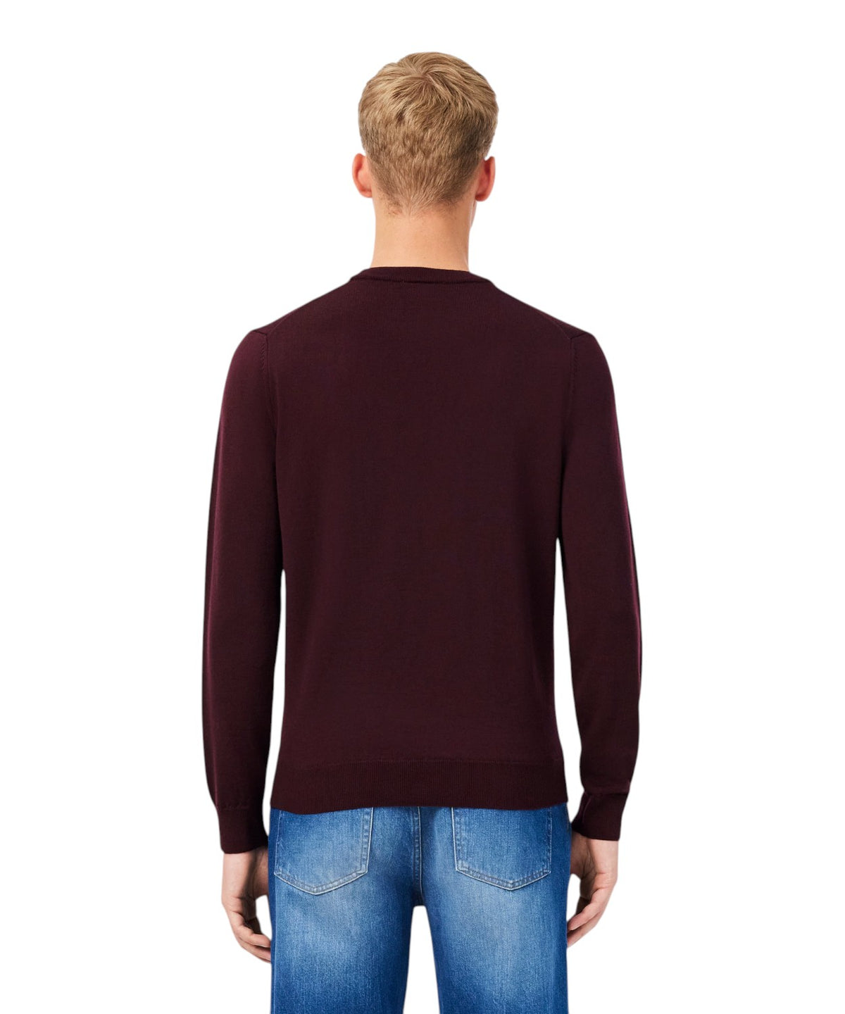 Pull Lacoste à col rond en laine mérinos pour homme