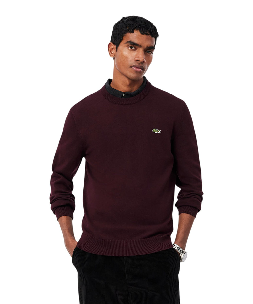 Pullover Lacoste Uomo in Cotone Organico