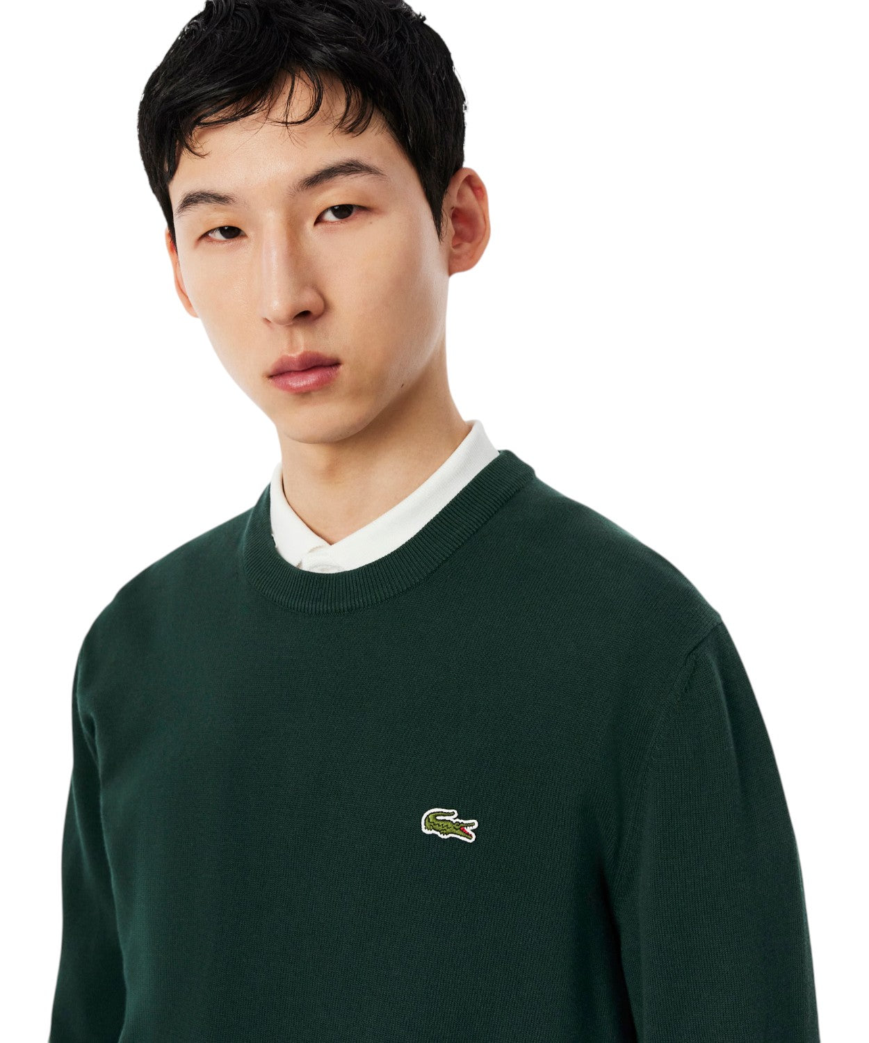 Pullover Lacoste Uomo in Cotone Organico Girocollo