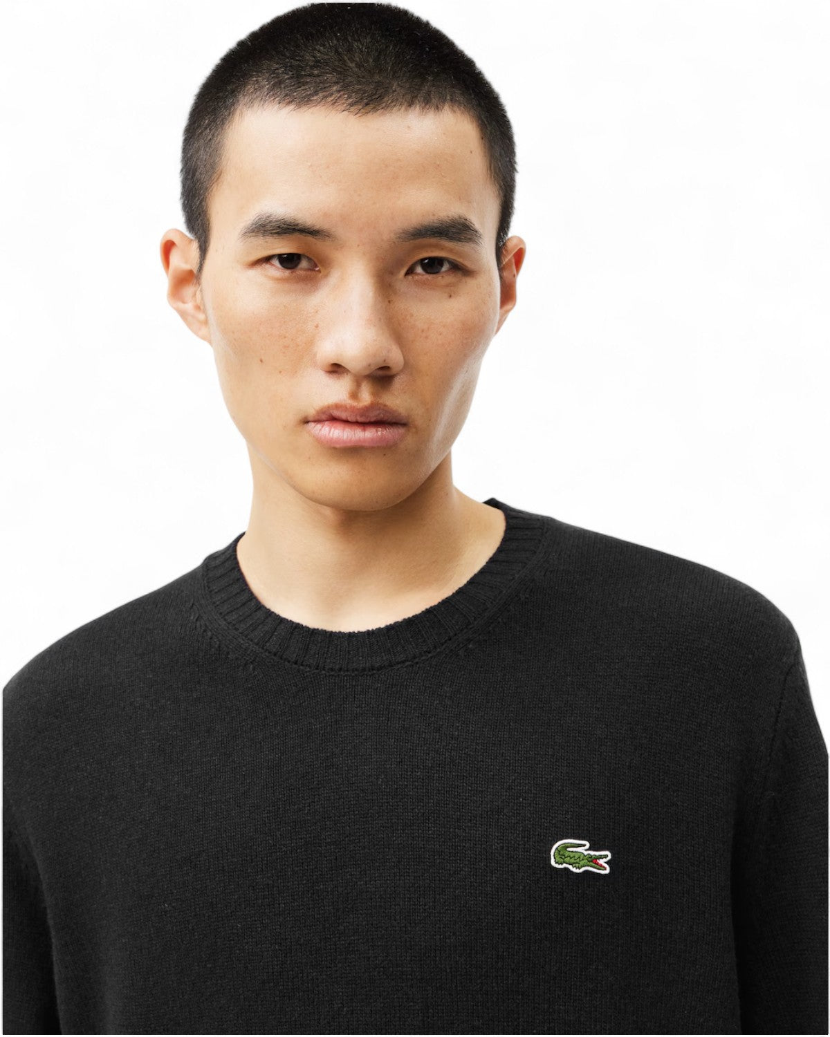 Maglione a Girocollo in Lana Cardata-LACOSTE-Maglieria-Vittorio Citro Boutique