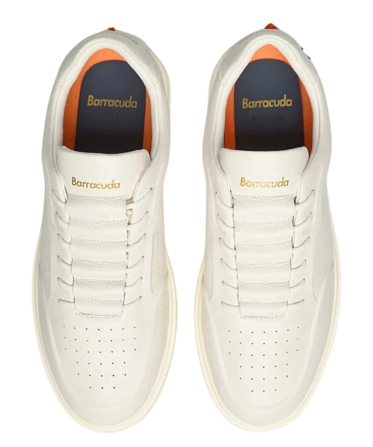 Sneakers Slip-On Phoenix in Pelle con Suola EVA