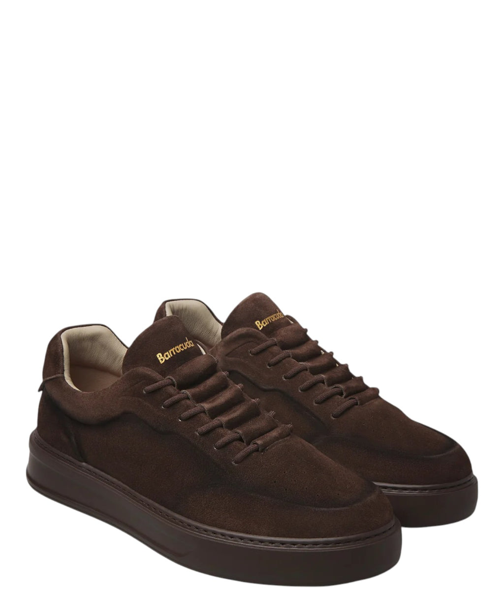 Baskets Homme Barracuda Phoenix en daim polyvalentes