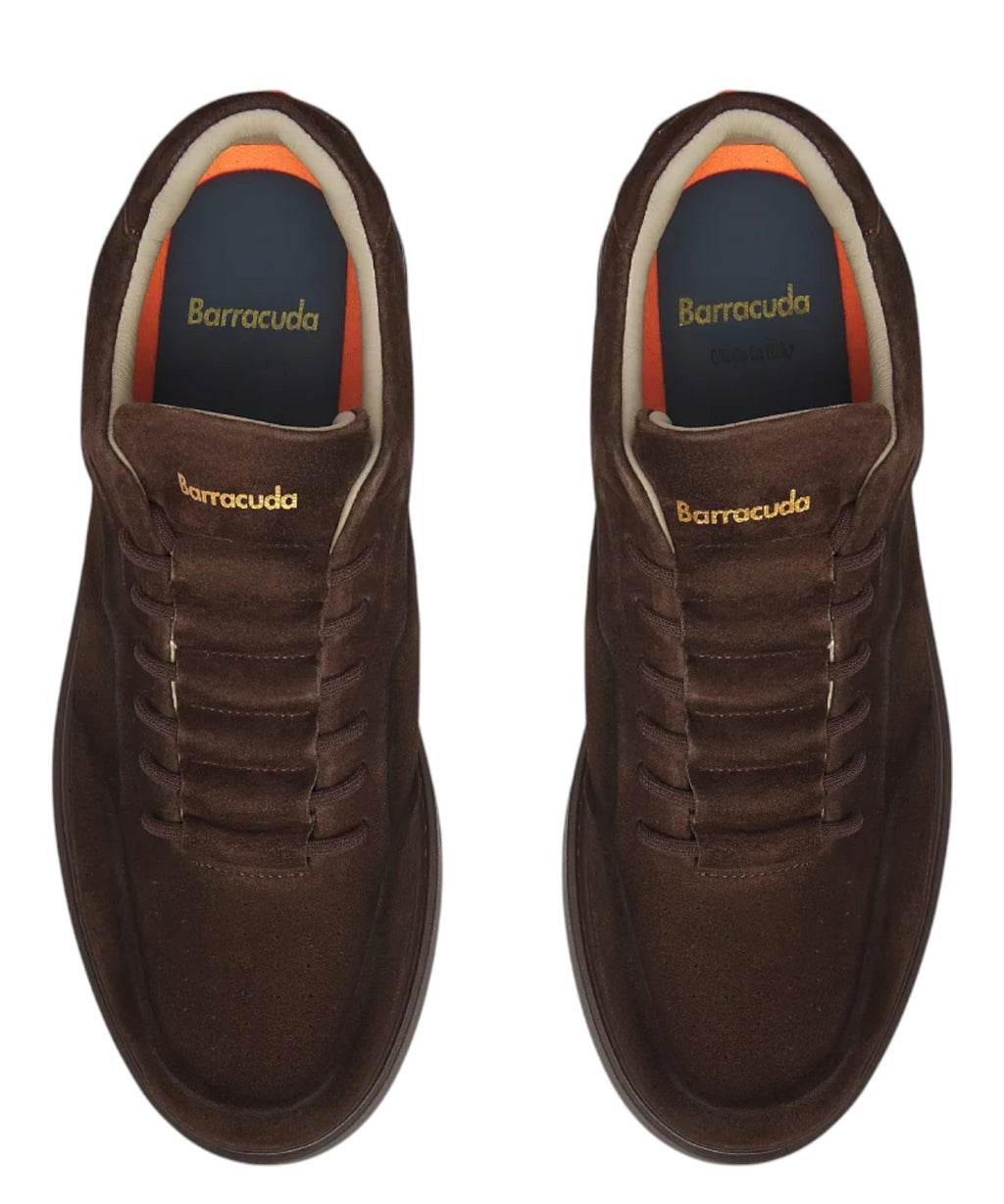 Baskets Homme Barracuda Phoenix en daim polyvalentes