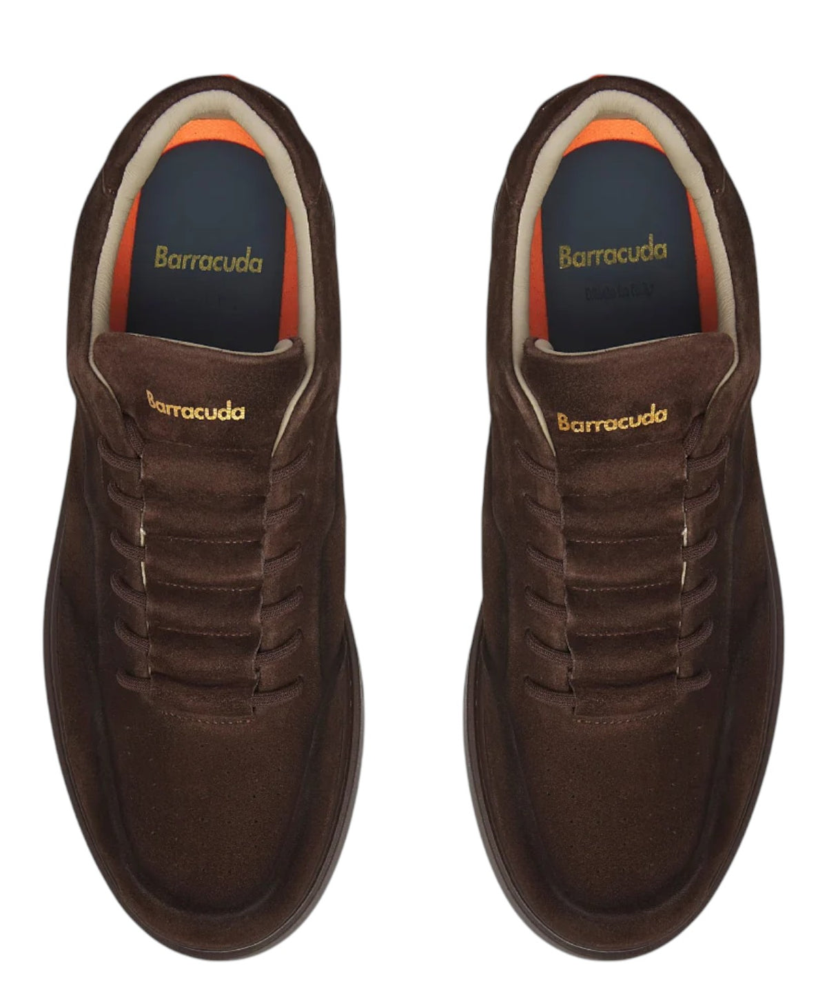 Baskets Homme Barracuda Phoenix en daim polyvalentes