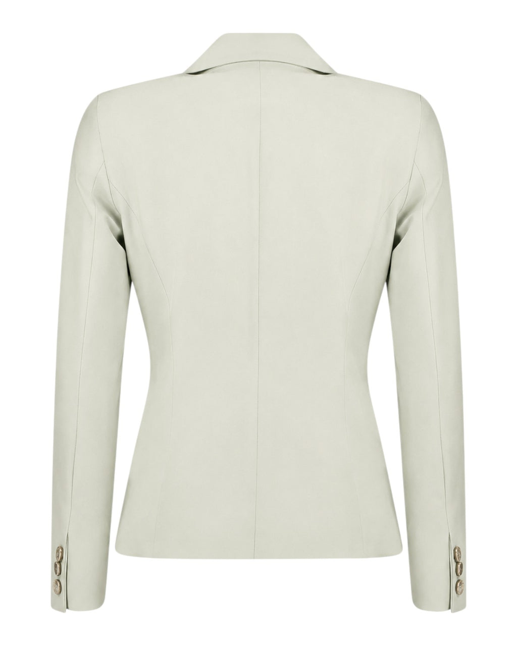 Blazer court Gattini