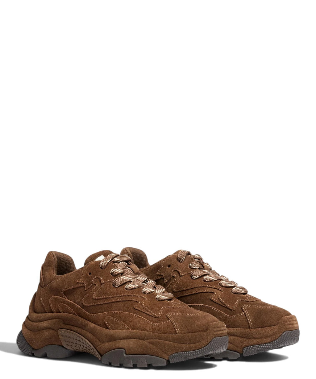 Sneakers ASH Addictbis01 in Camoscio con Suola Chunky