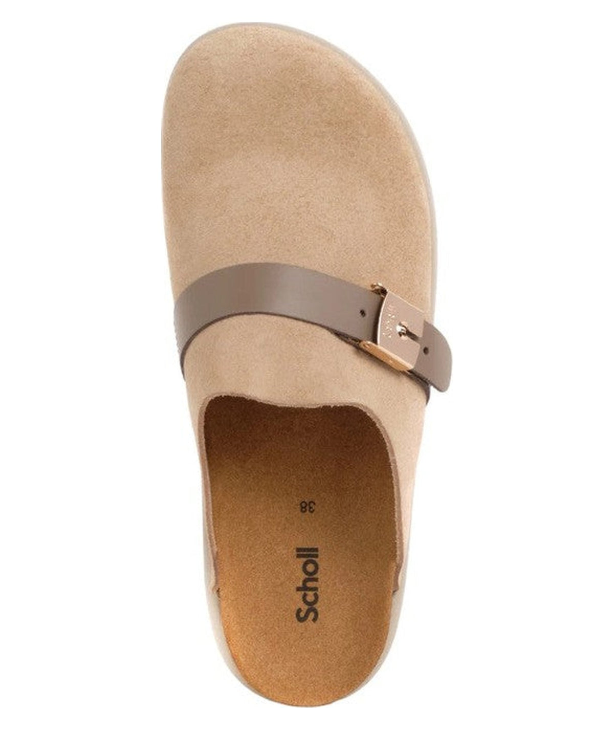 Zoccoli Camel Ivy Buckle-DR.SCHOLL-Sandali-Vittorio Citro Boutique