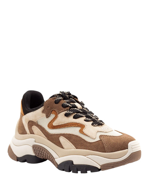 Sneakers ASH Addict 02 in camoscio e mesh oversize