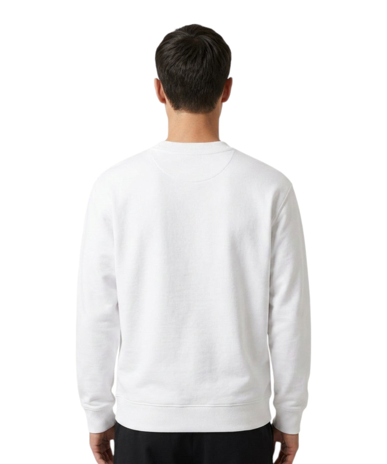 Felpa Lacoste Cotone Felpato con Coccodrillo