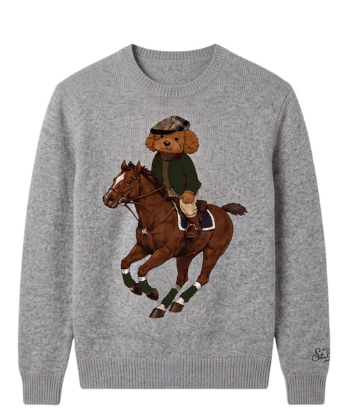 Pull homme Heron en cachemire Gin Tonic