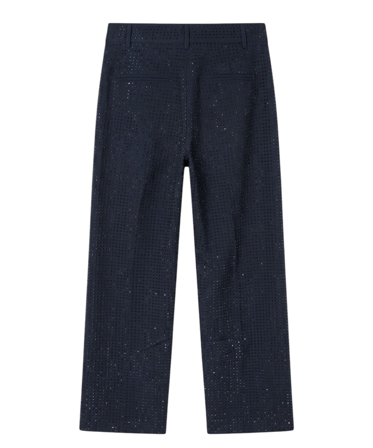Pantalone Pinko Gampa Larga Full Strass