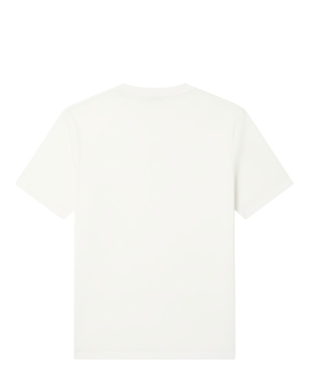 T-shirt homme en coton Pima Emporio Armani Essentials