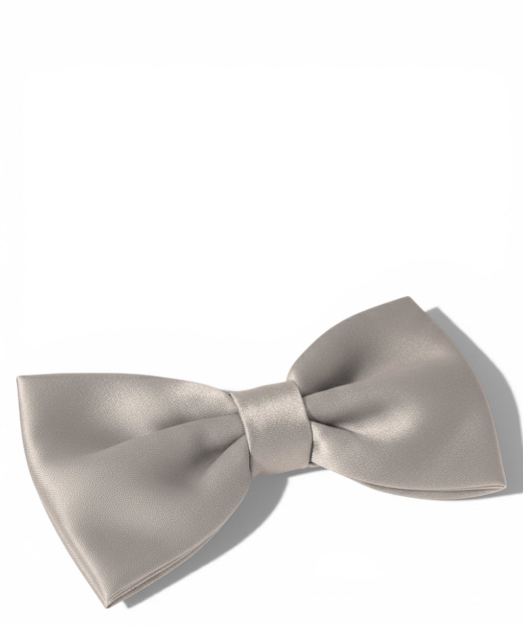 Papillon en satin gris classique pour occasions élégantes