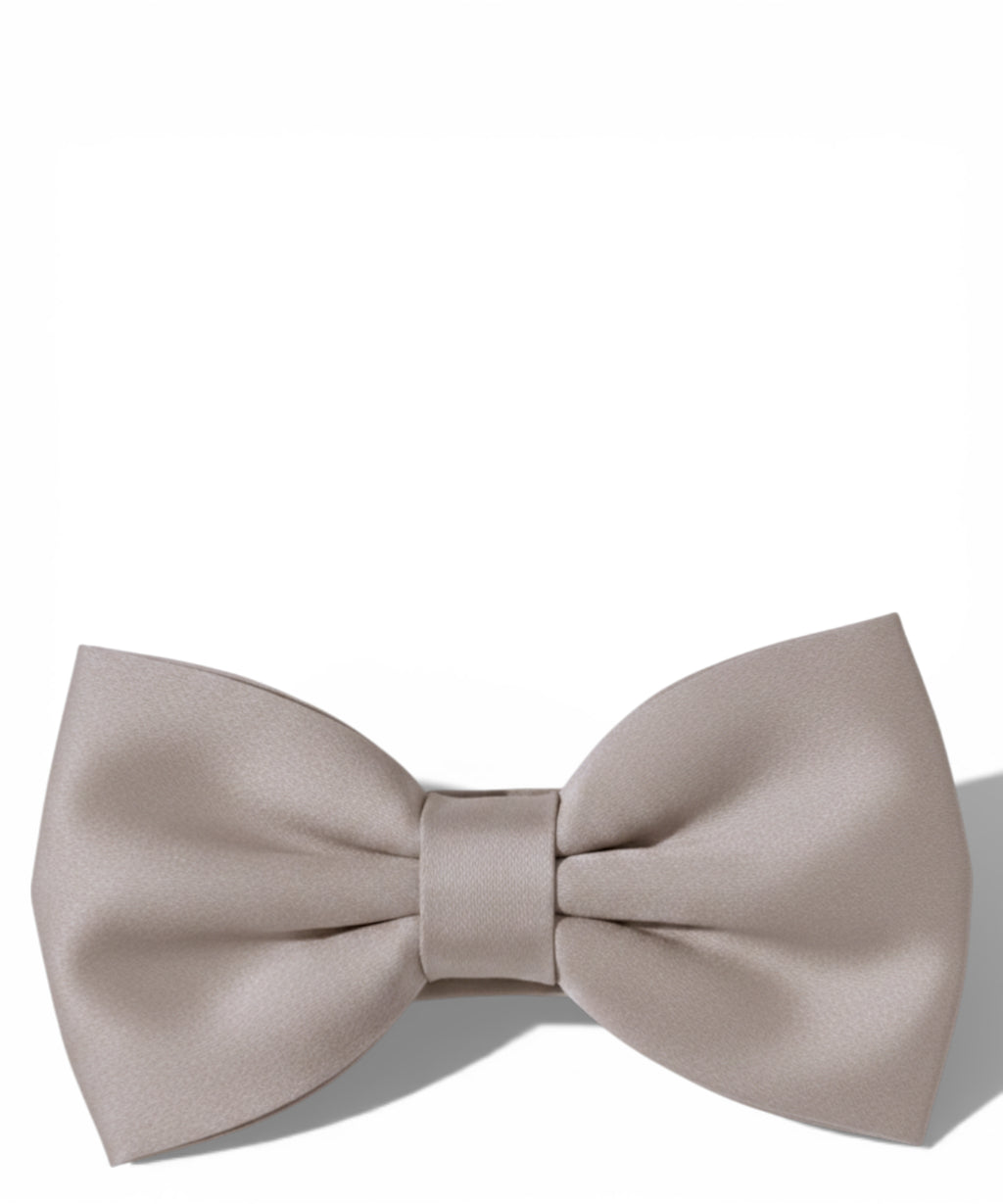 Papillon en satin gris classique pour occasions élégantes