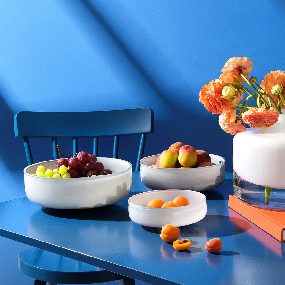 Ciotola Midnight grande