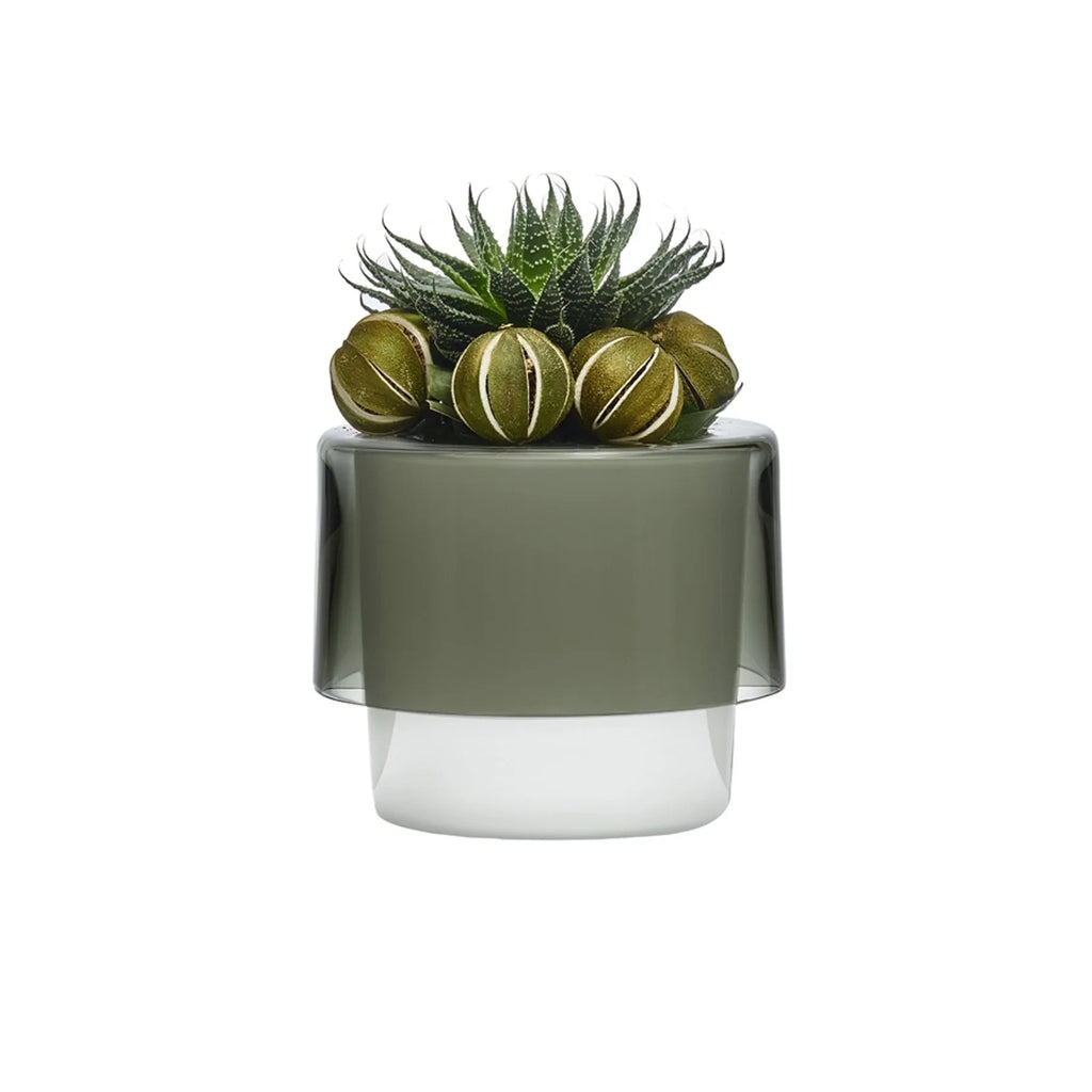 Vaso per orchidee Roots bianco