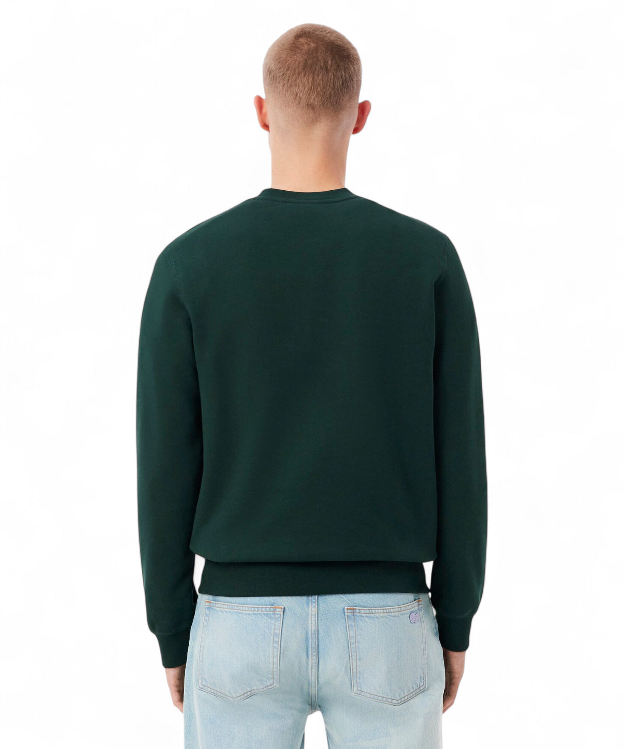 Lacoste Felpa in Cotone con Coccodrillo Paesaggio