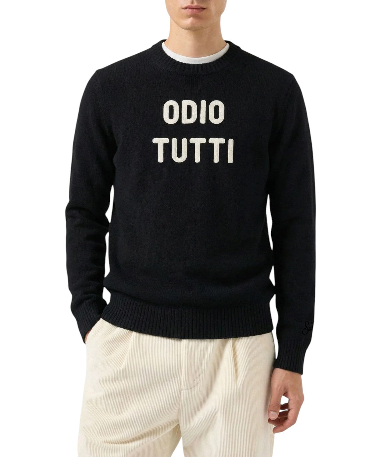 Maglione Uomo Heron in Cashmere ODIO TUTTI