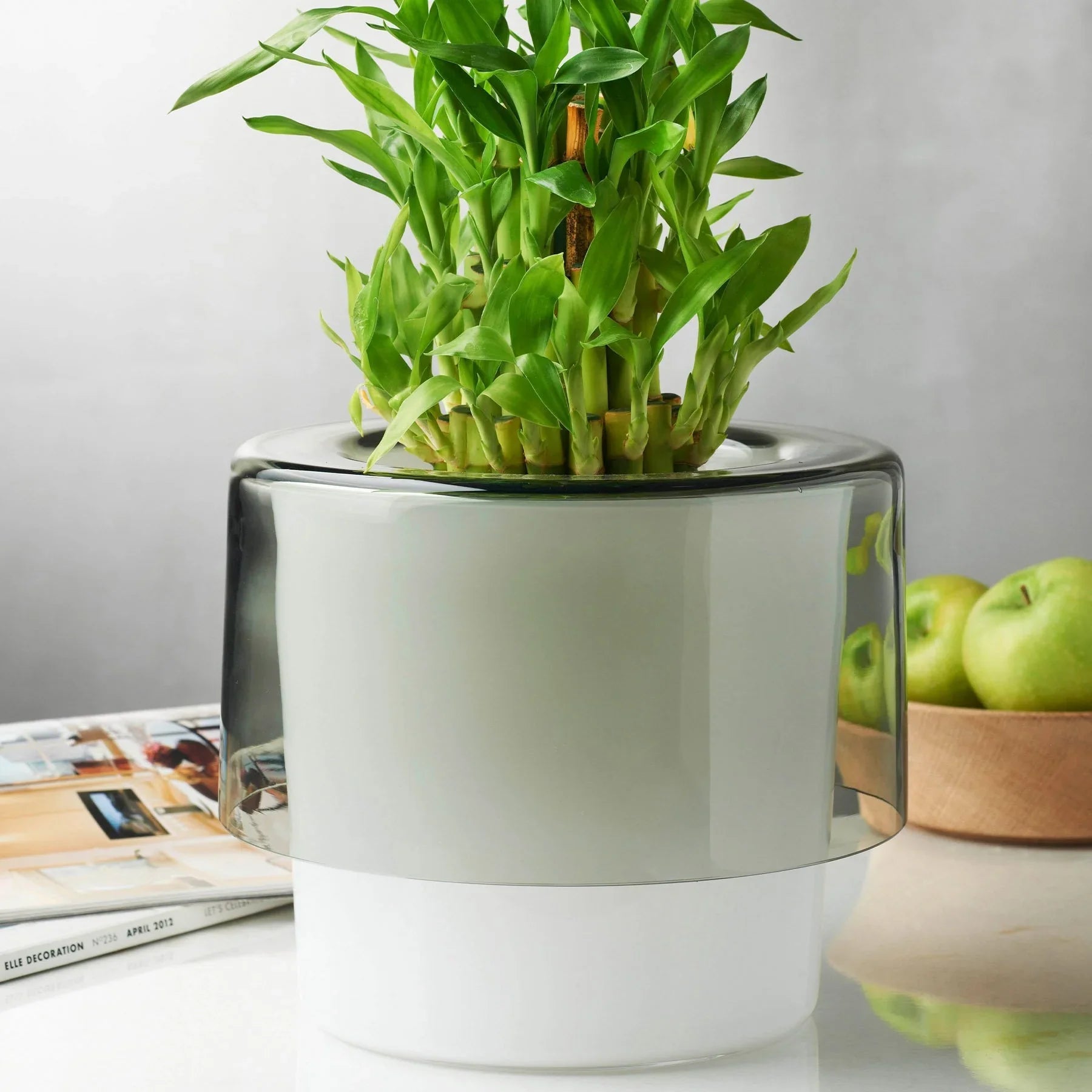 Vaso per orchidee Roots bianco