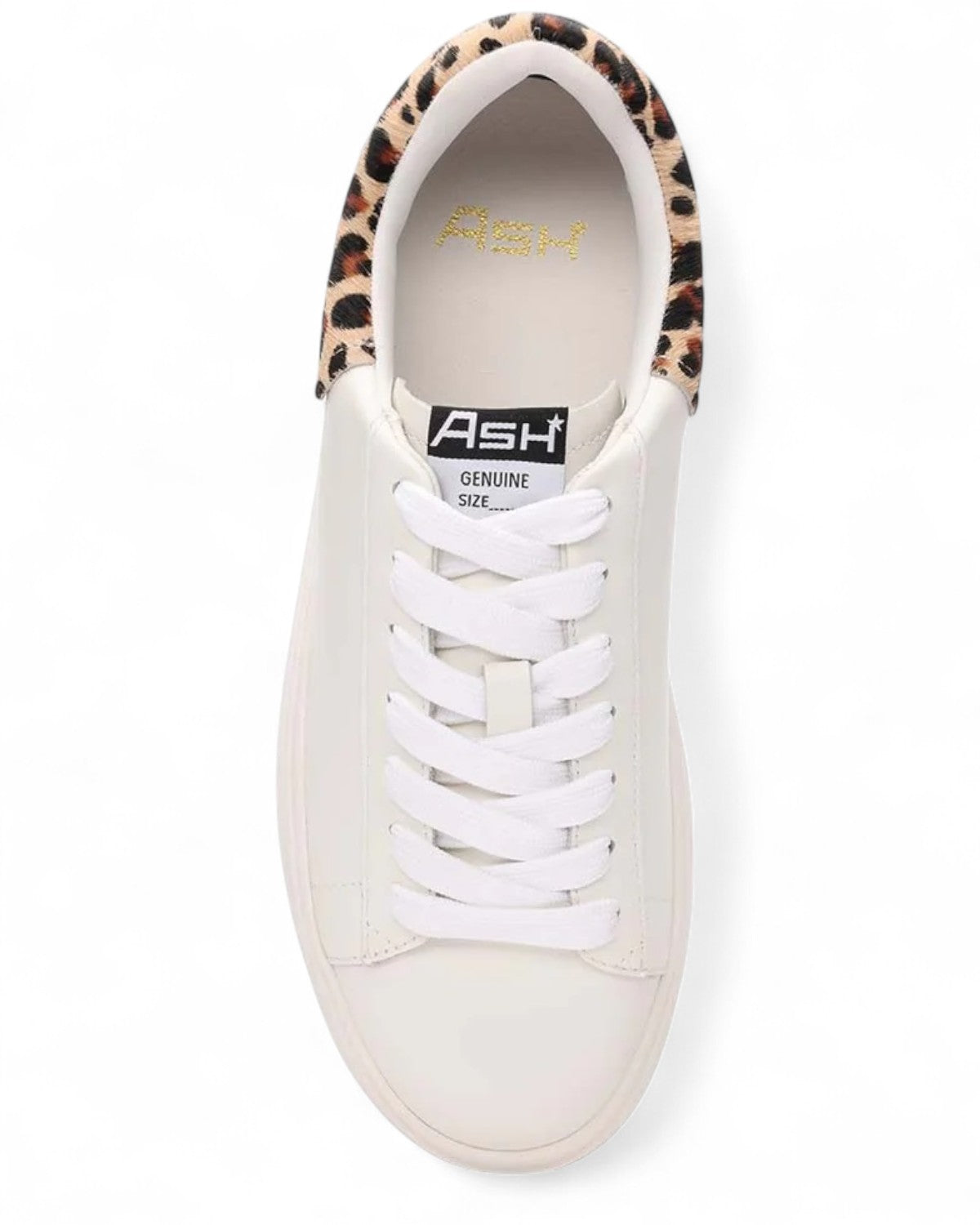 Sneakers Moby Platform con Dettagli Leopard-ASH-Sneakers-Vittorio Citro Boutique