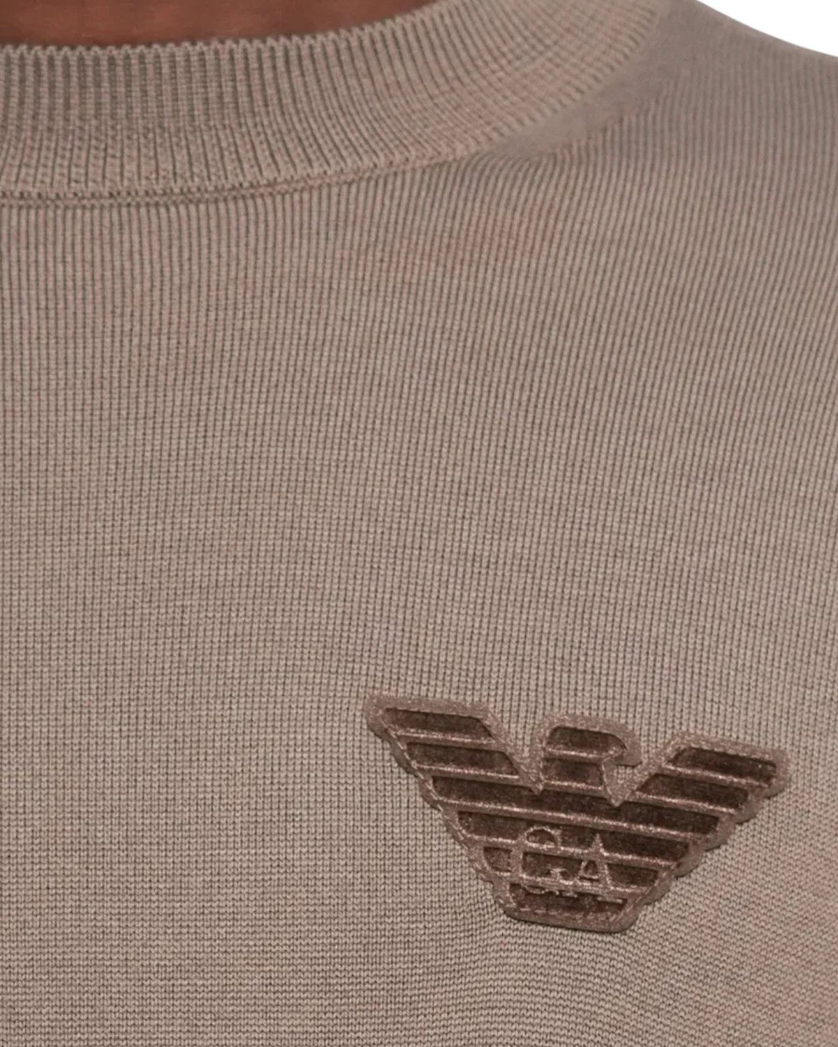 Maglione in Lana Vergine con Girocollo-Emporio Armani-Maglieria-Vittorio Citro Boutique