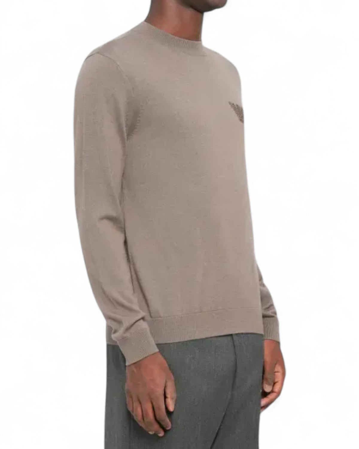 Maglione in Lana Vergine con Girocollo-Emporio Armani-Maglieria-Vittorio Citro Boutique