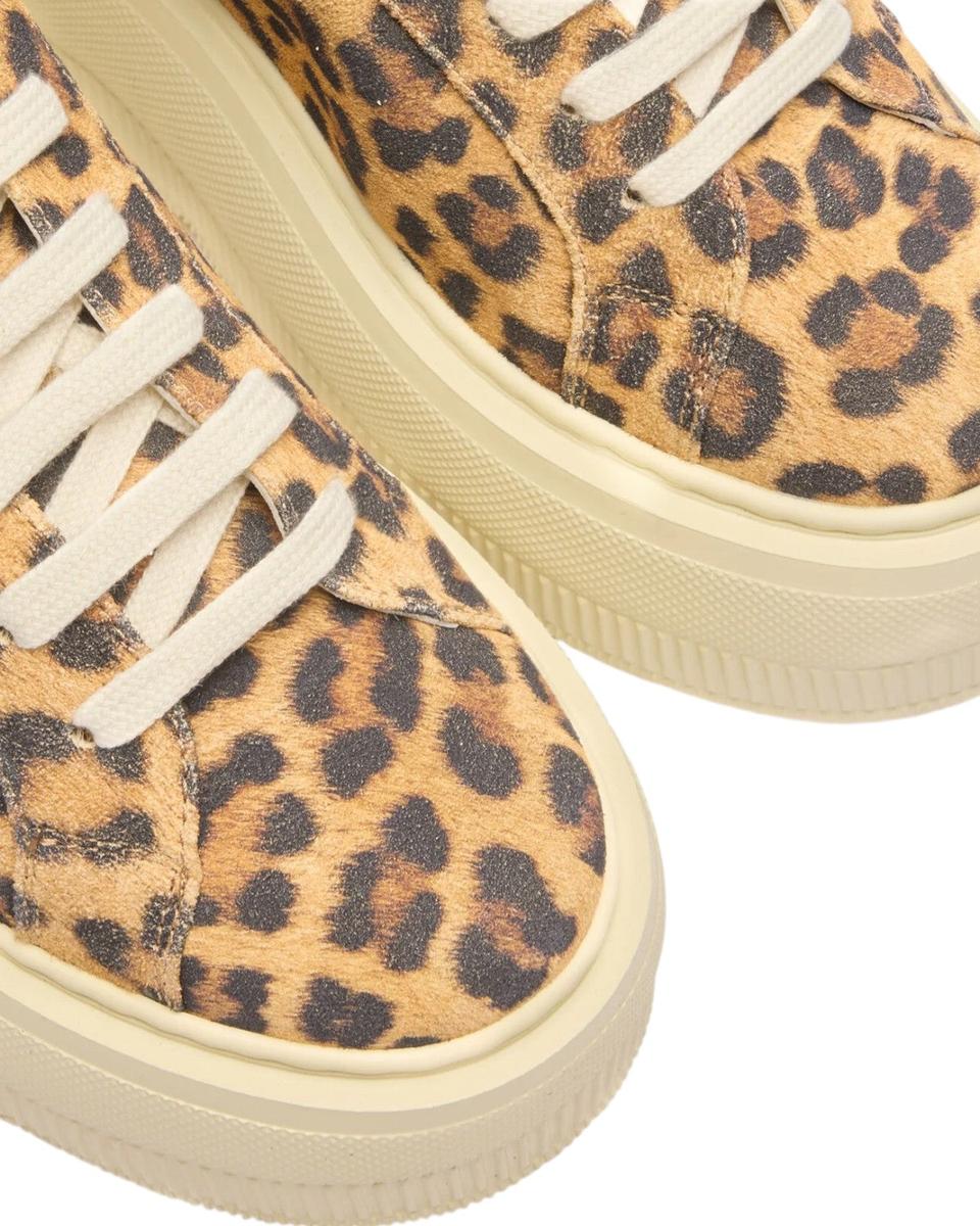 Malesia Nexus Sneakers-Casadei-Sneakers-Vittorio Citro Boutique