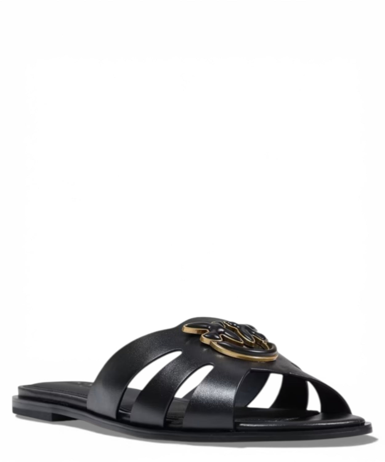 Mules Pinko Milly 04 in Pelle