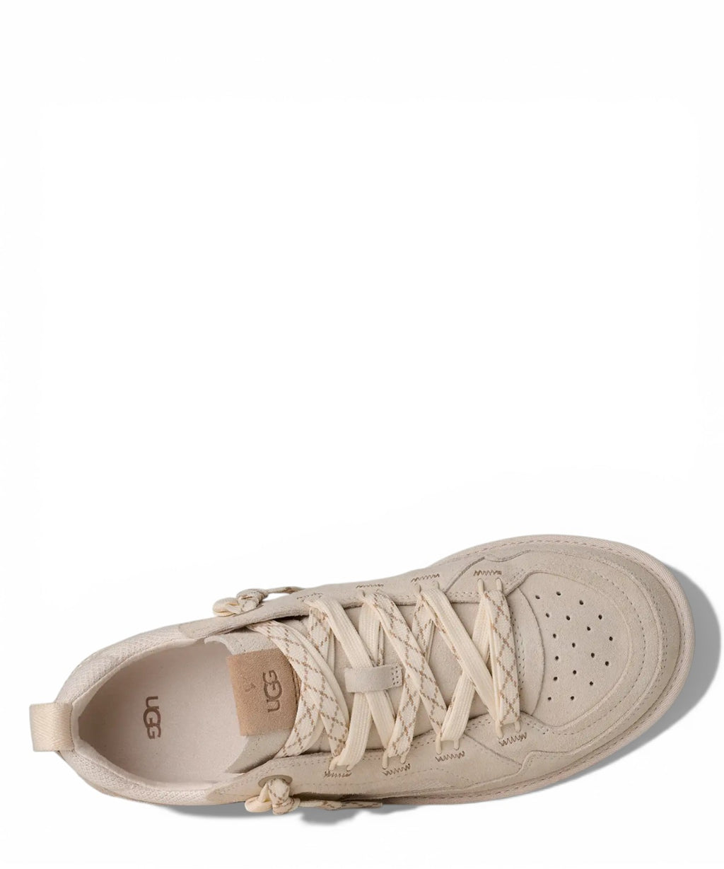 Baskets UGG Minimel Homme