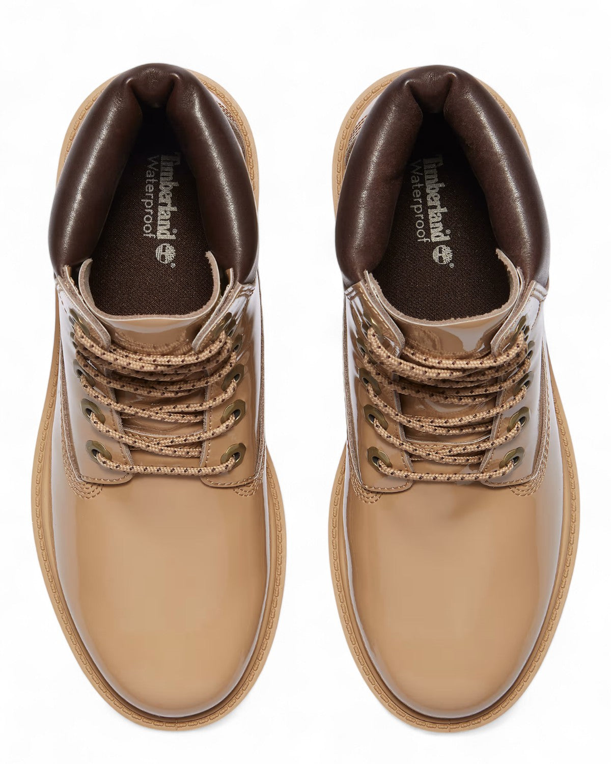 Scarponcini Premium 6-Inch in pelle Lucida-TIMBERLAND-Stivali-Vittorio Citro Boutique