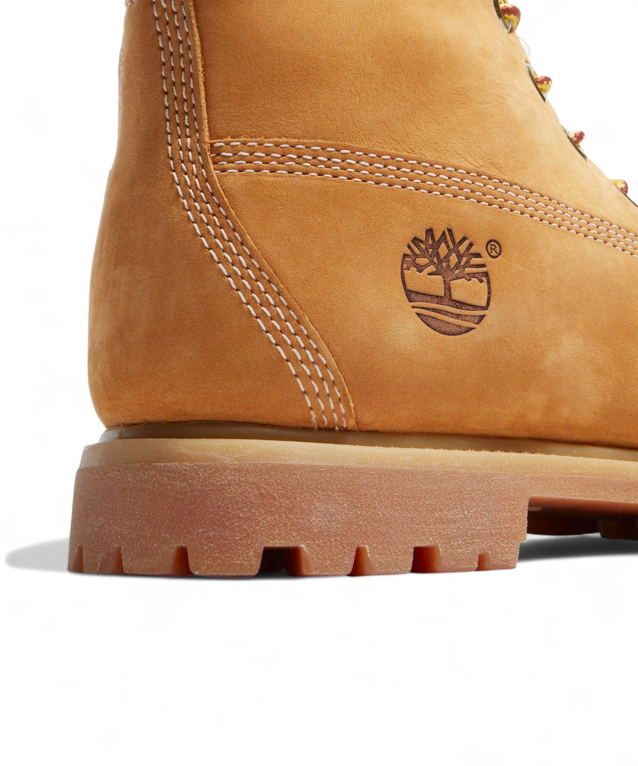 Premium 6-Inch Waterproof Boot-TIMBERLAND-Stivali-Vittorio Citro Boutique